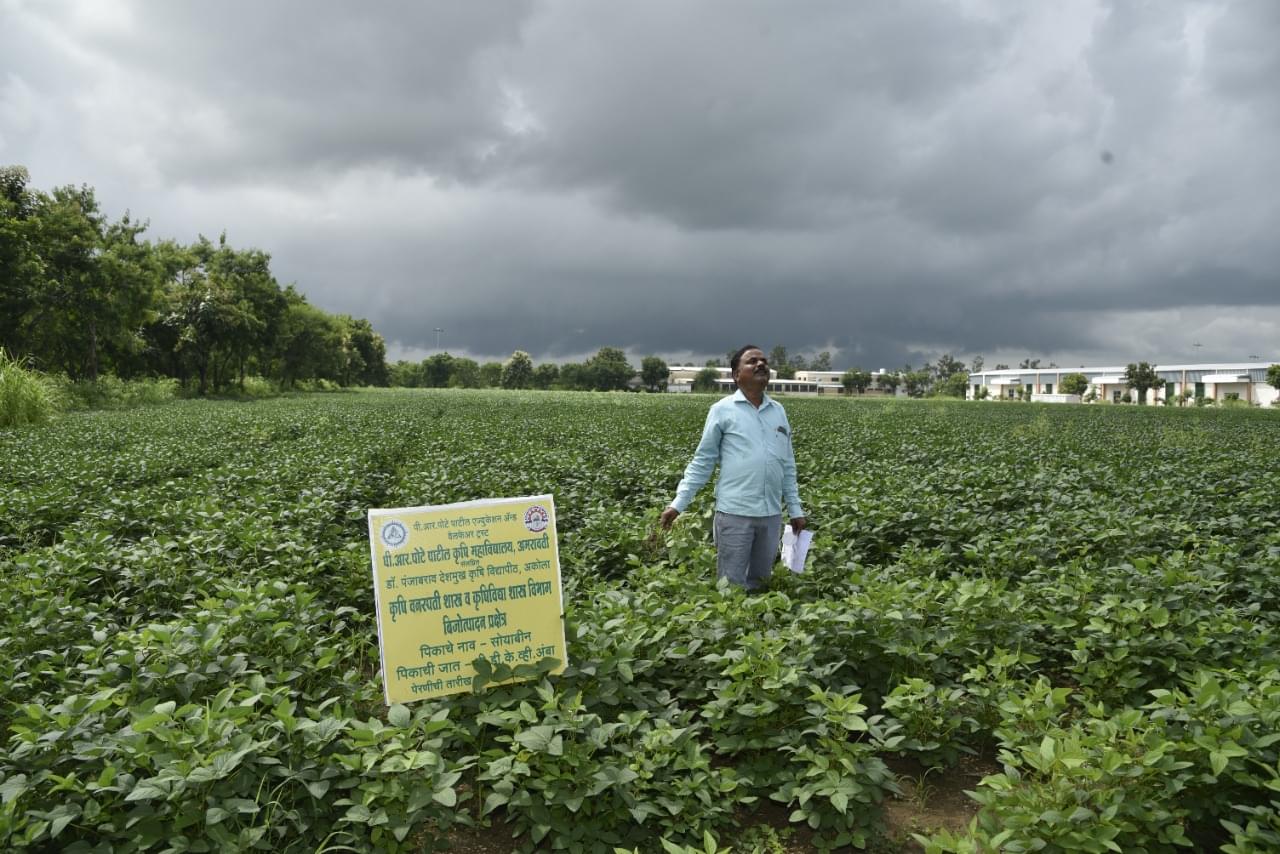P. R. Pote Patil College of Agriculture Amravati Campus photo 7